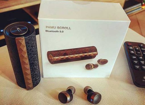 Permium TWS Headphones PaMu Scroll Review